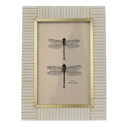 Resin & Brass Picture Frame - 4" x 6"