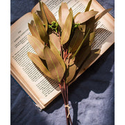 Oval Leaf Eucalyptus Bundle in Brown