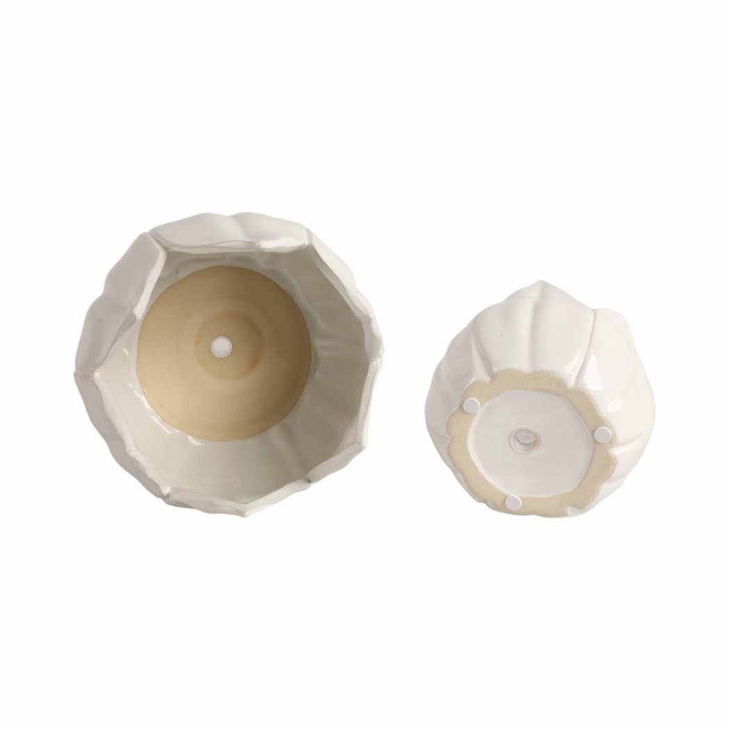 White Ceramic Tulip Petal Planters