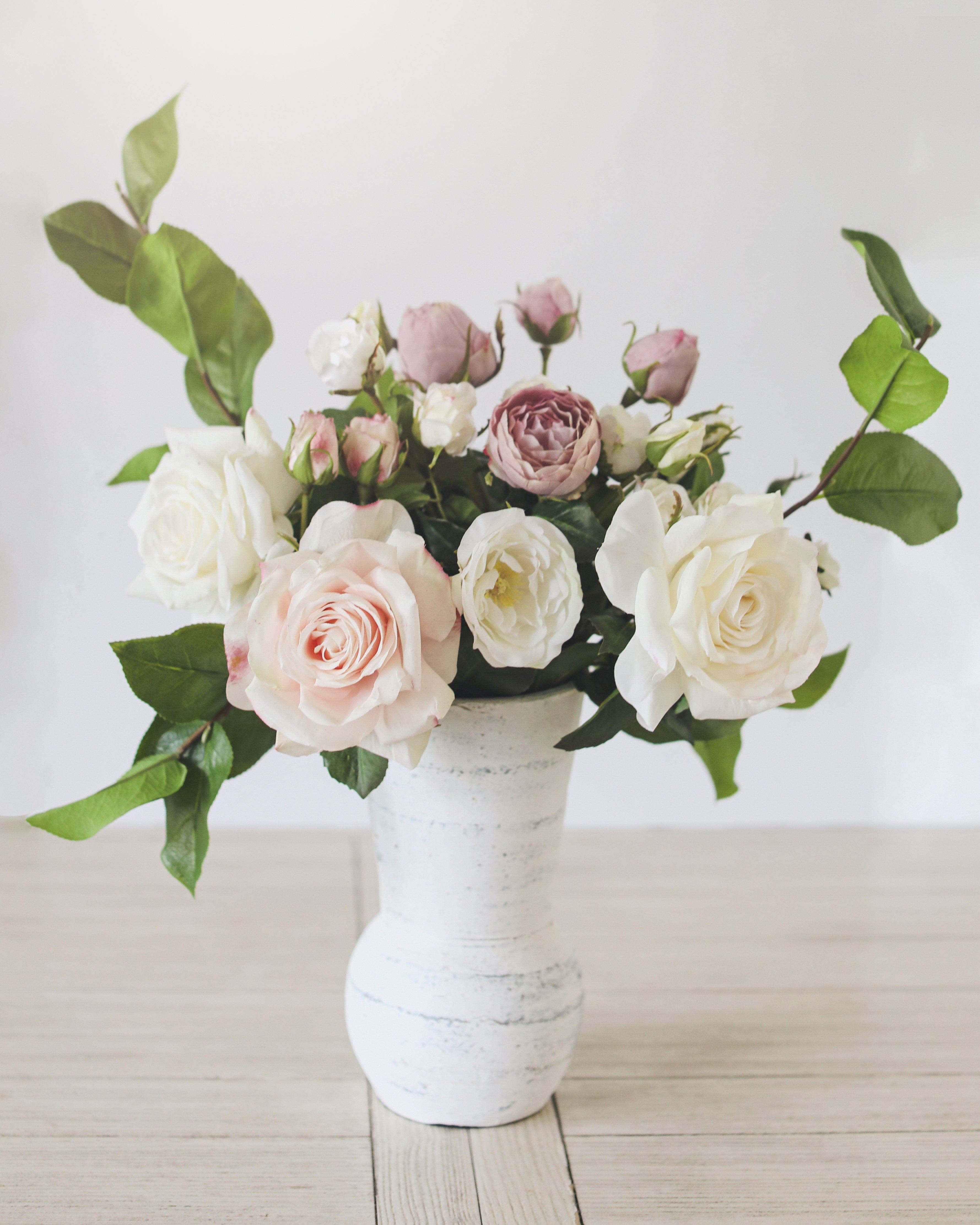 Mauve English Rose 23