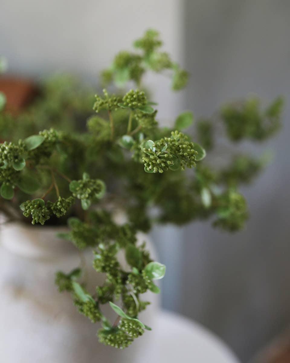 Green Wild Sedum Cluster 22.5