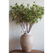 Young Leaf Spray Stem