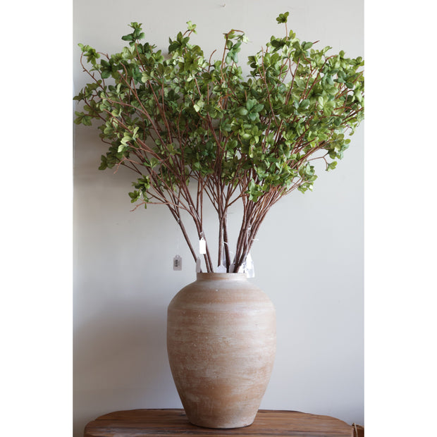 Young Leaf Spray Stem