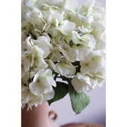 Hydrangea Natural Touch Stem