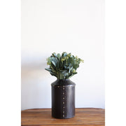 Short Silver Dollar Bundle