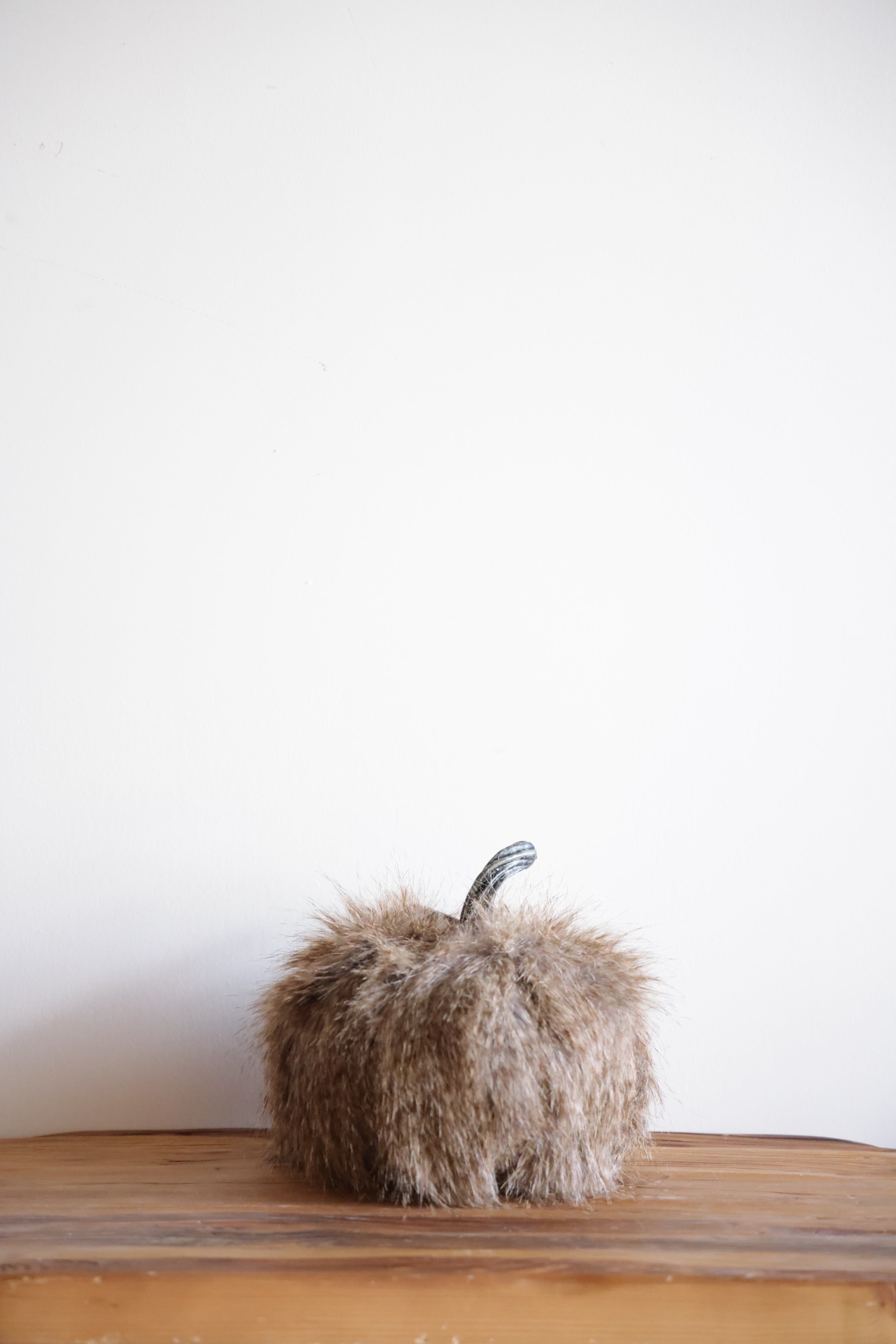 Brown Fur Pumpkin