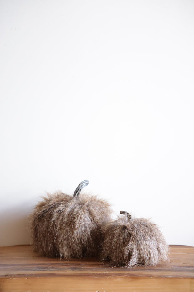 Brown Fur Pumpkin