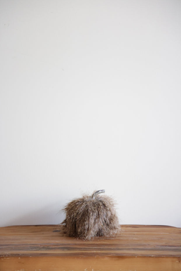 Brown Fur Pumpkin