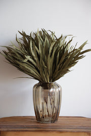 Green Eva Grass Bush