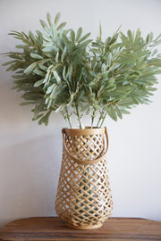 Willow, Soft Green Stem