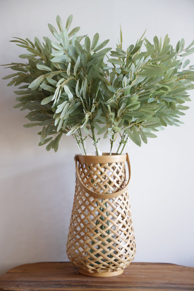 Willow, Soft Green Stem