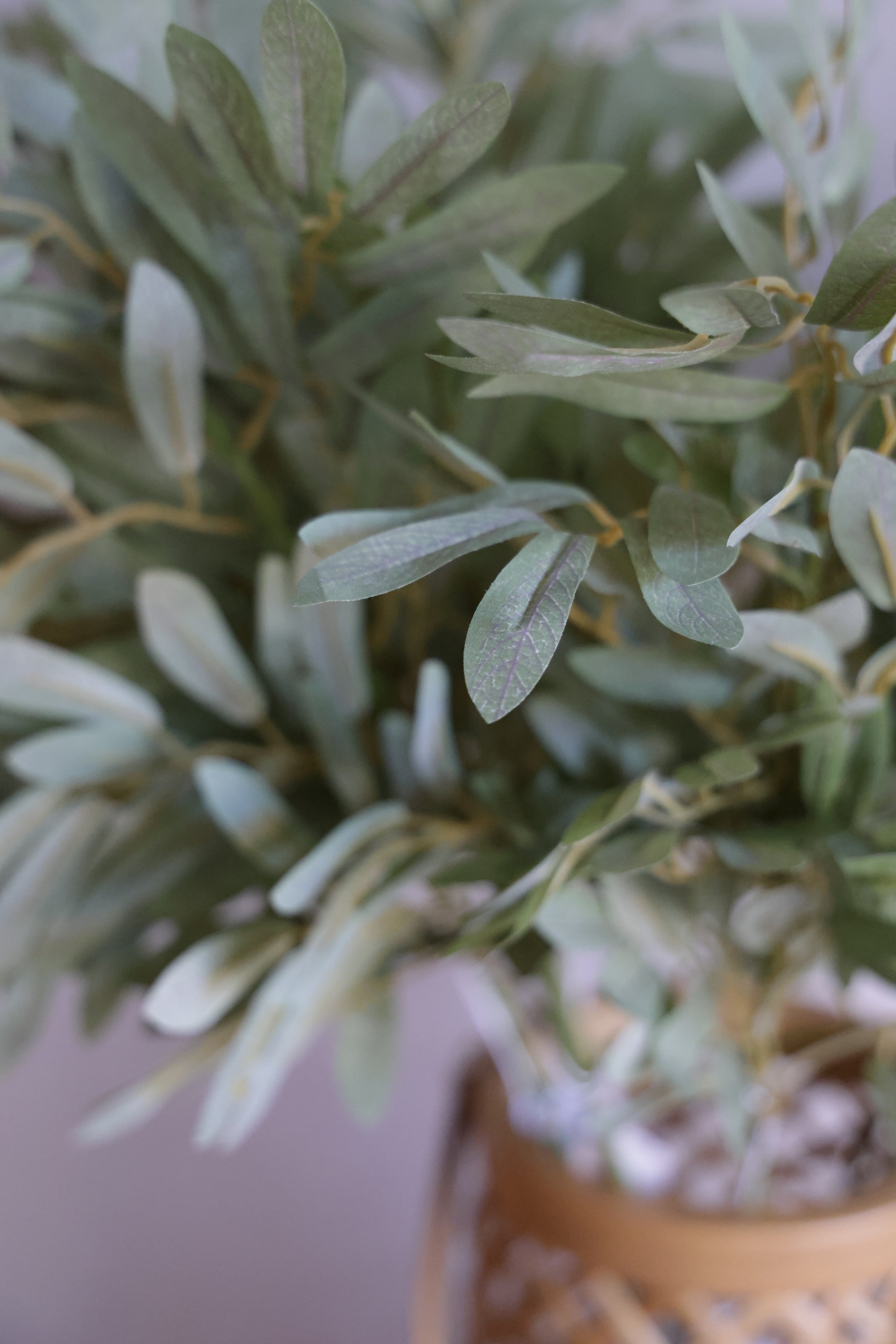 Willow, Soft Green Stem