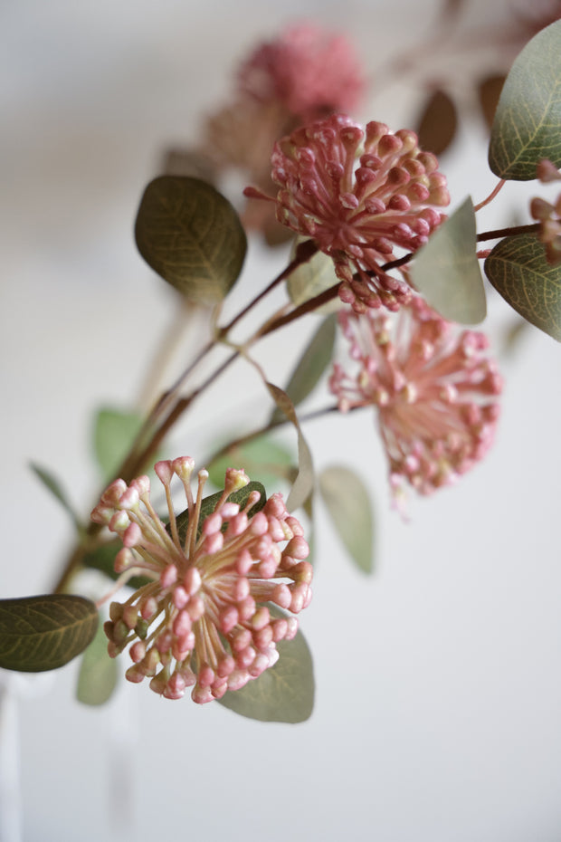 Eucalyptus Berry Stem