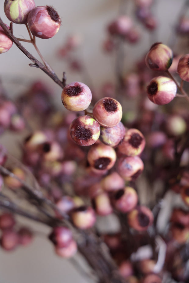 Berry Hawthorn Stem Pink