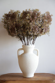 Queen Anne's Lace Stem, Blush