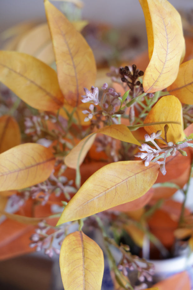 Terracotta Eucalyptus Leaves
