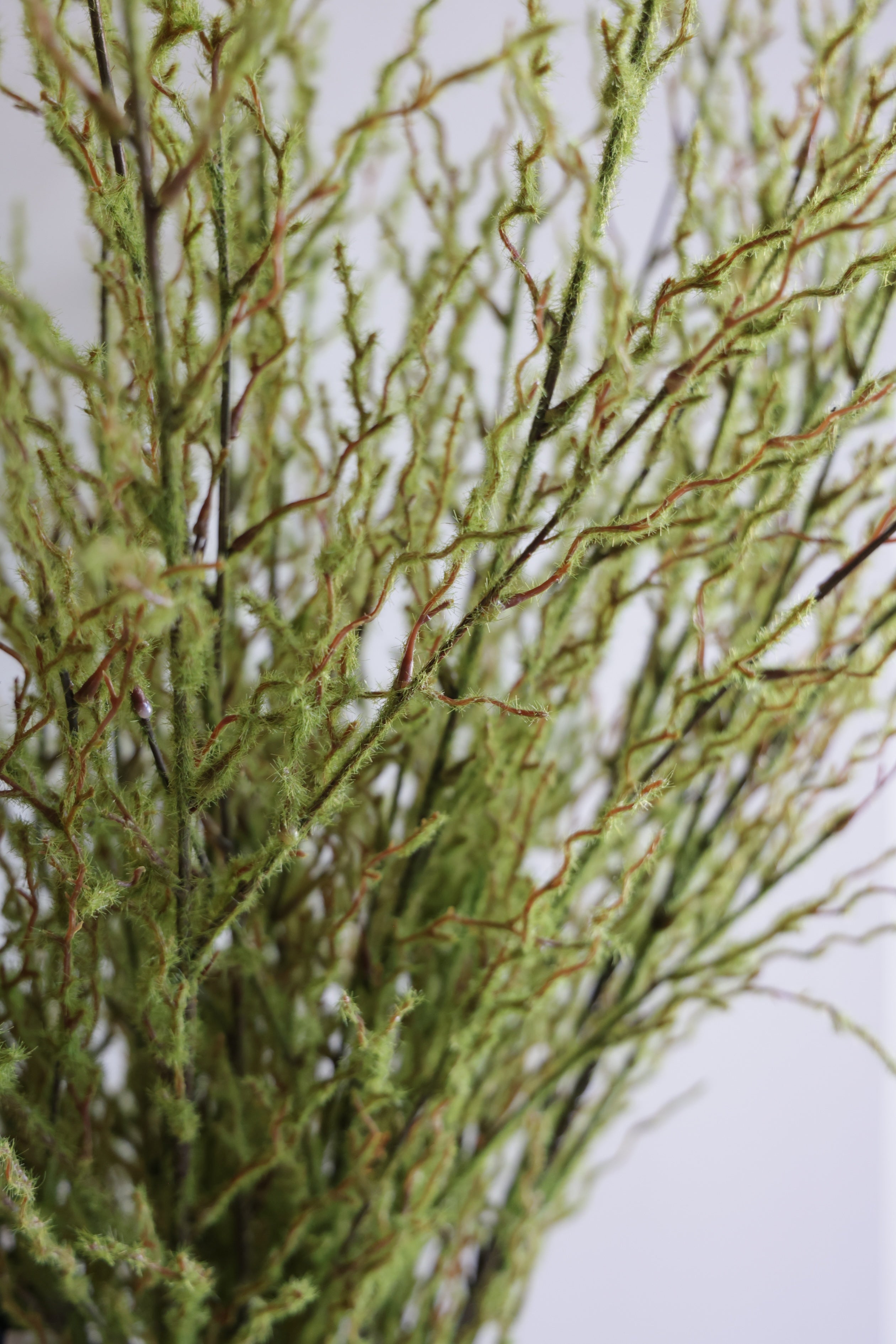 48 in. Mossy Twig Branch