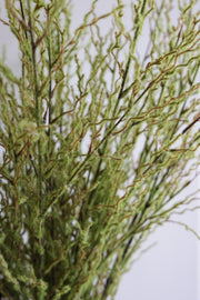 48 in. Mossy Twig Branch