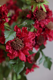 30" RED SCABIOSA SPRAY