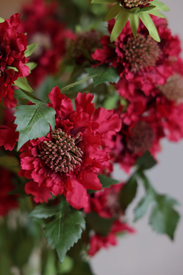 30" RED SCABIOSA SPRAY