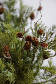 20" PINE W/ PINECONES BUSH