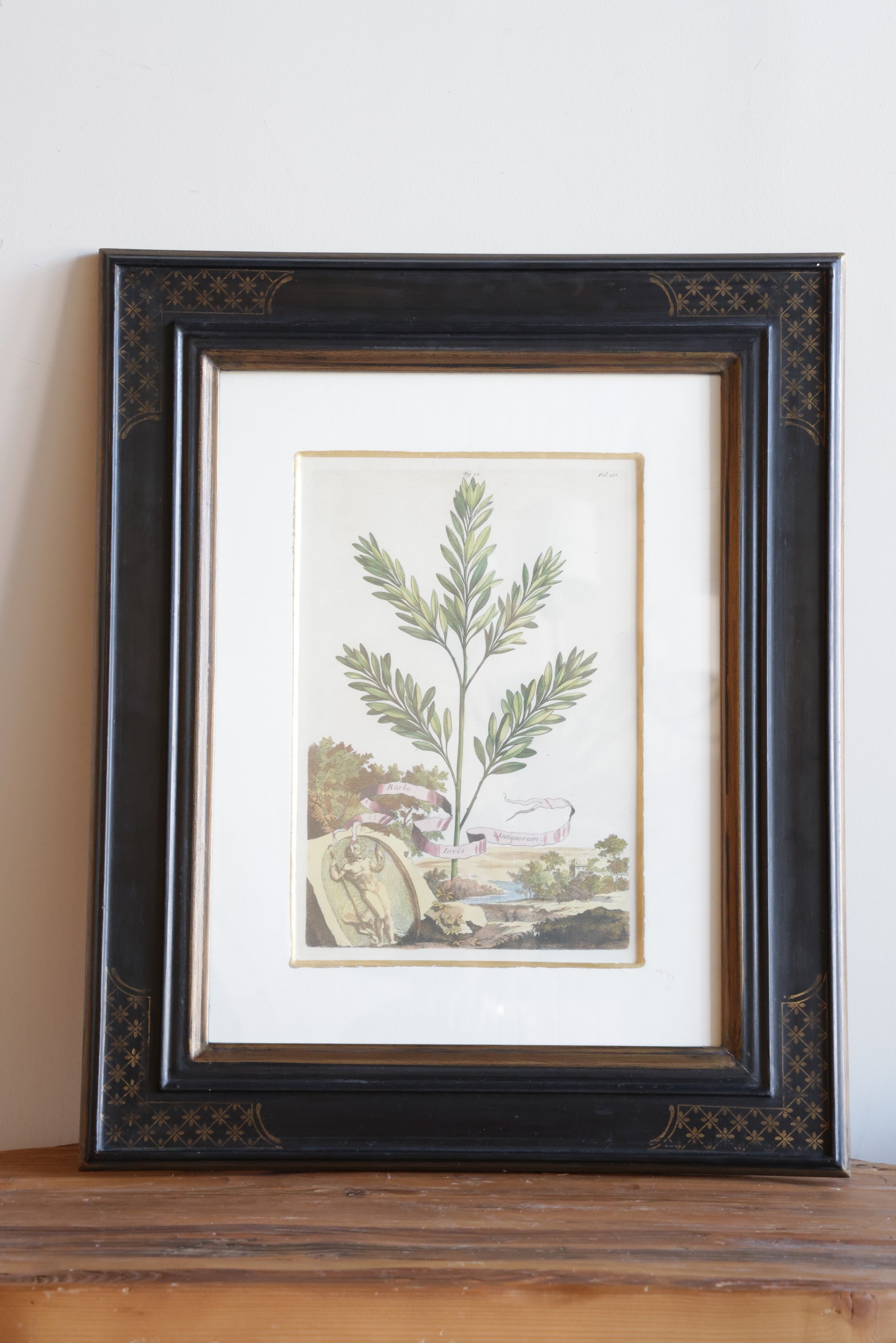 Vintage Original Botanical Art #2