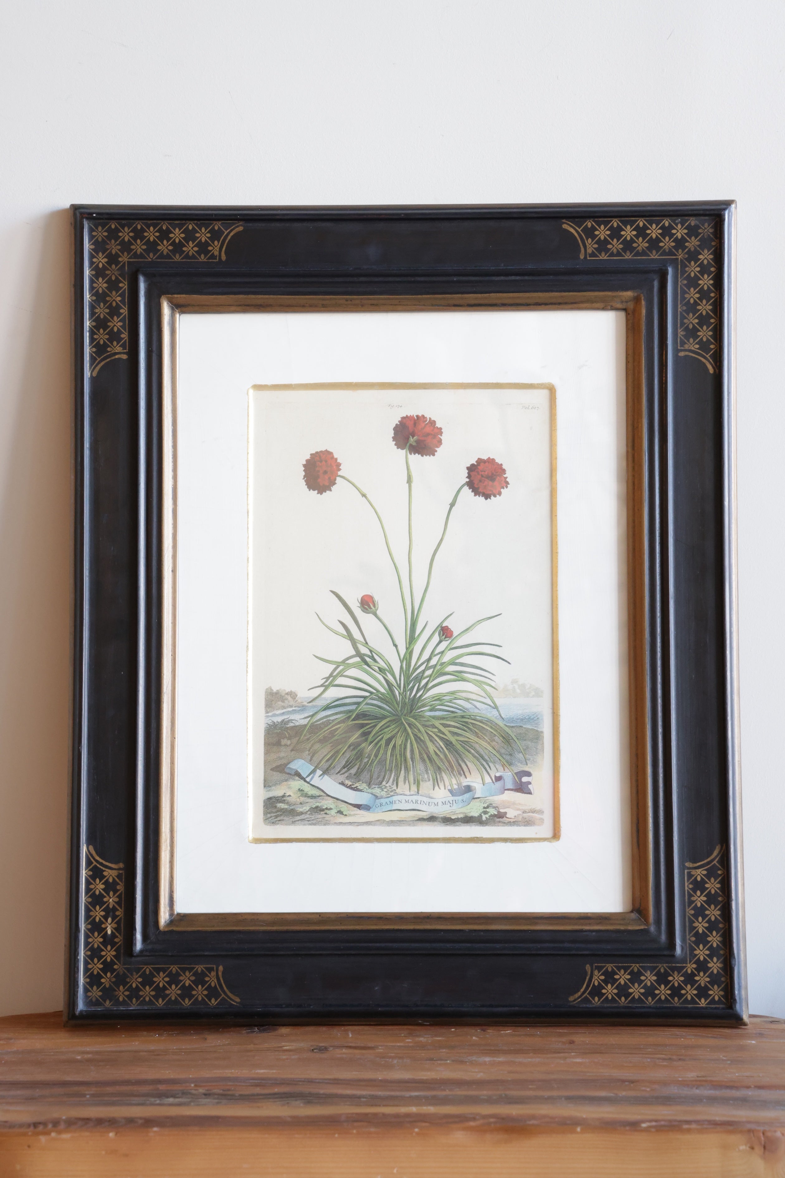 Vintage Original Botanical Art #1