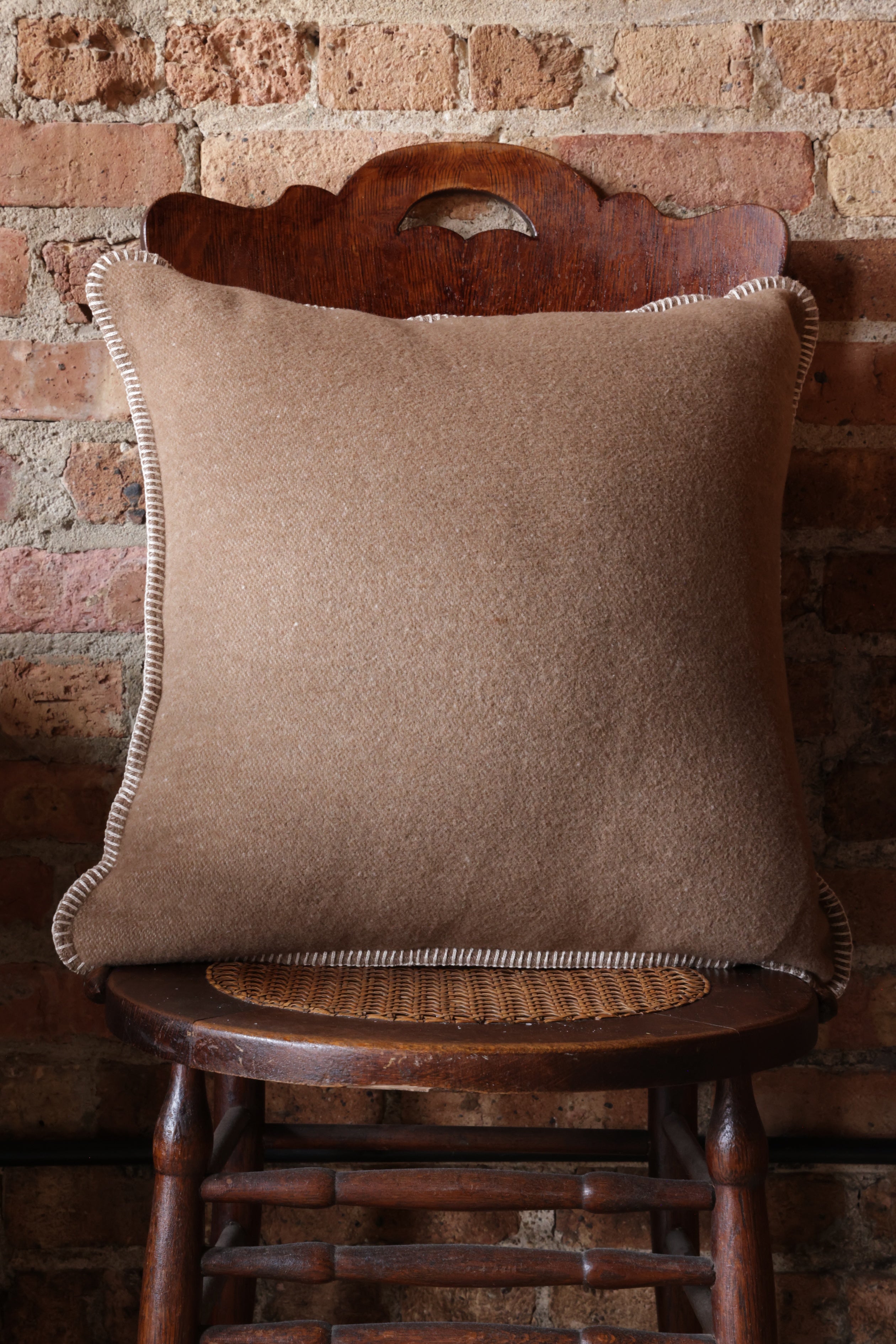 Camel - Pillow 20x20