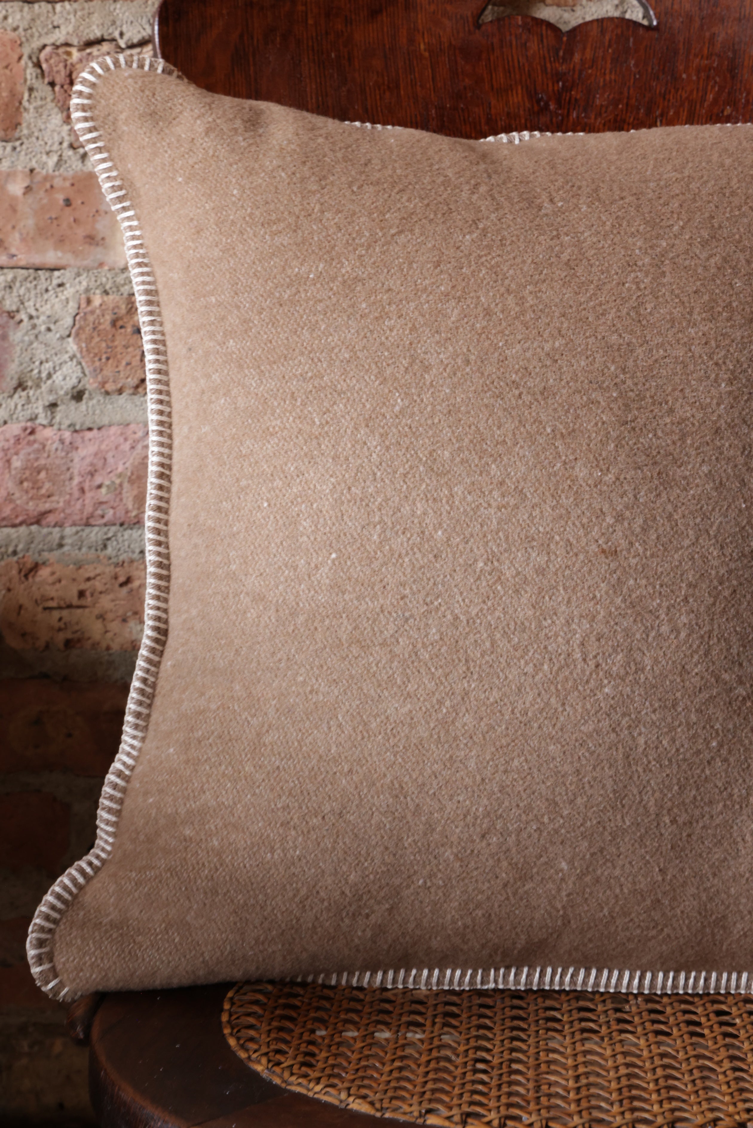 Camel - Pillow 20x20