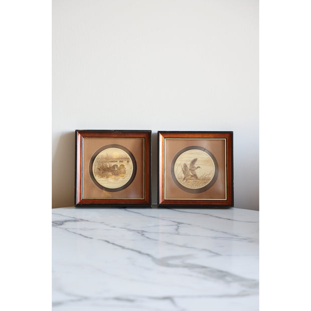 Stephen Barlow Scrimshaw - Swimming Duck