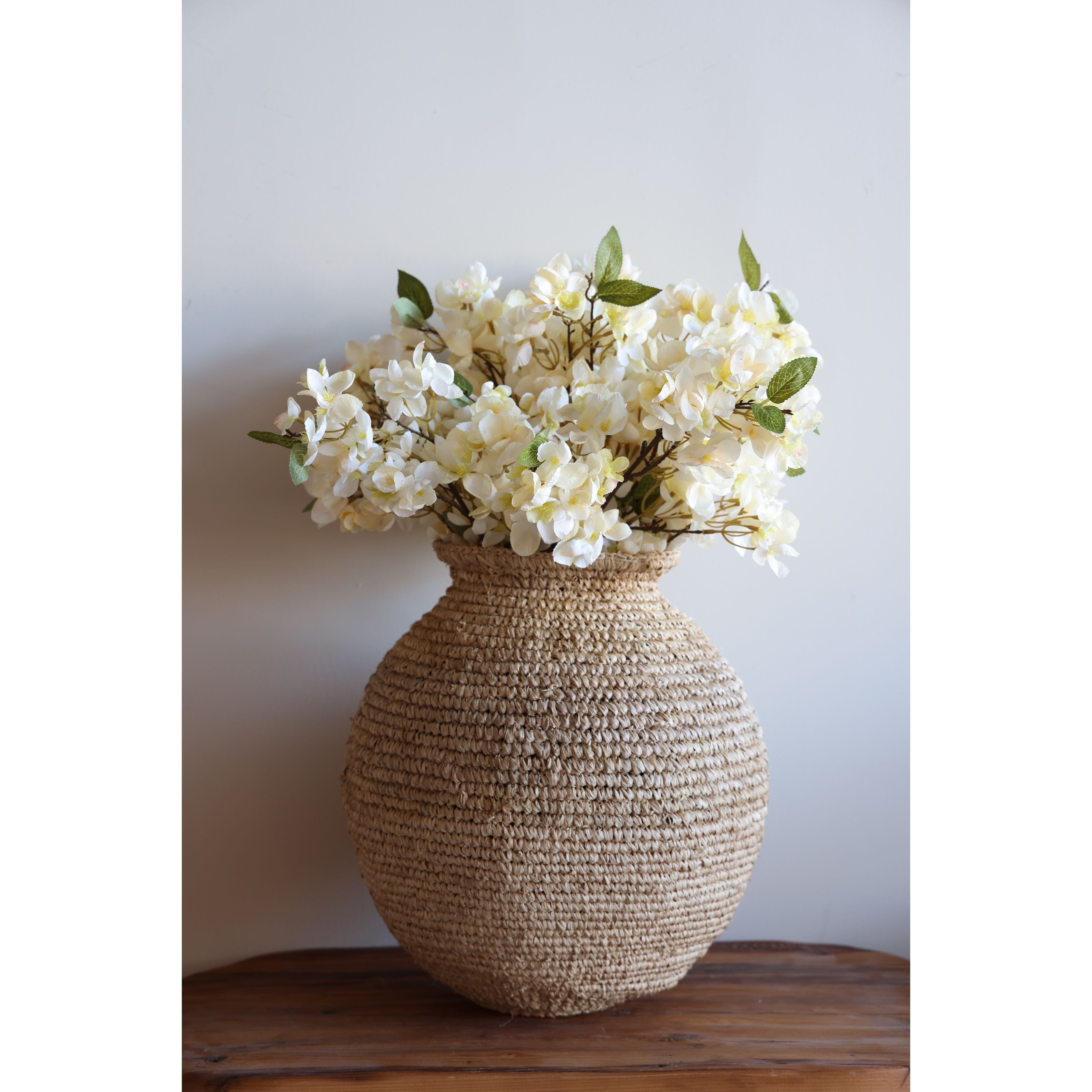 Apricot Blossom Stem