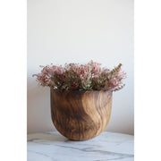 Leucospermum Bush Stem