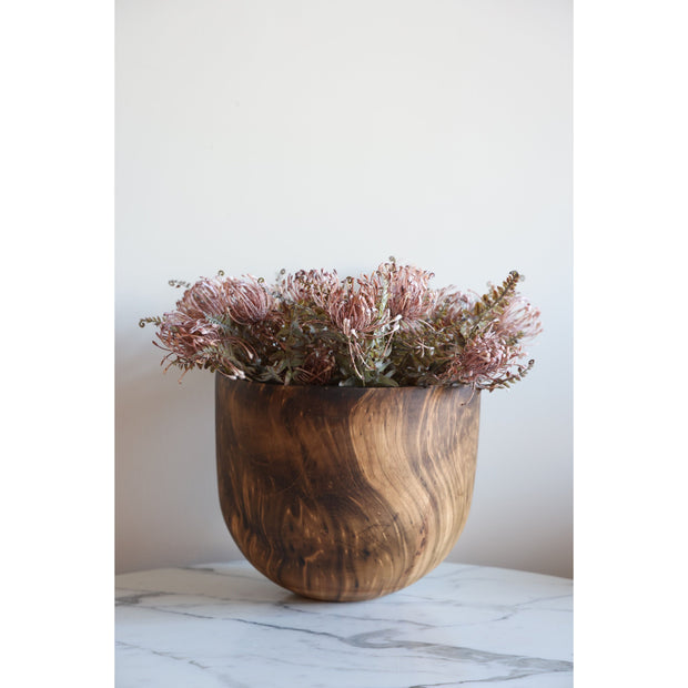Leucospermum Bush Stem