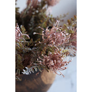 Leucospermum Bush Stem