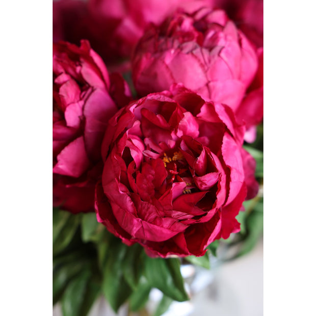 Peony Stem with Leaves, 26"- Dark Fuschia