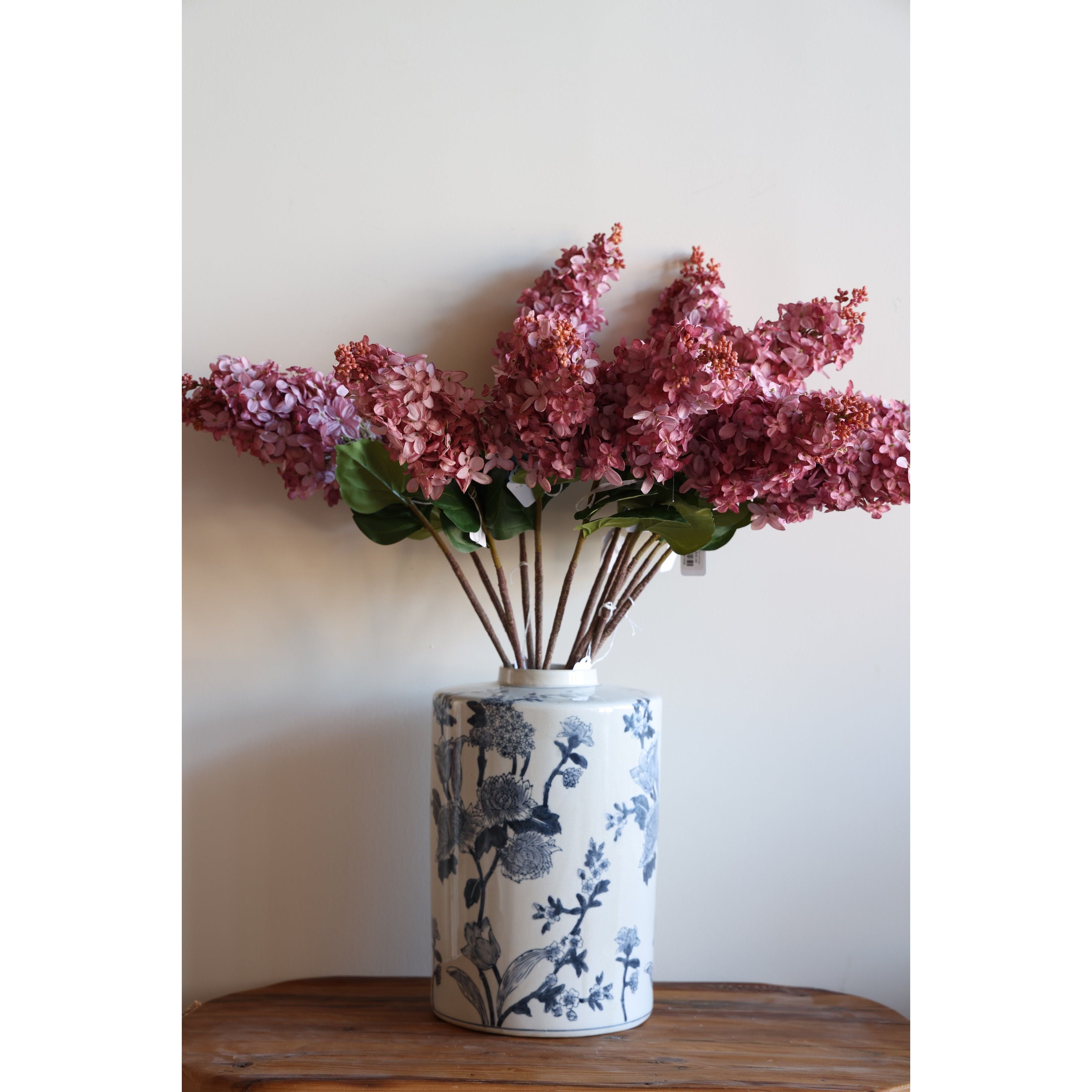 Cone Hydrangea Sunset