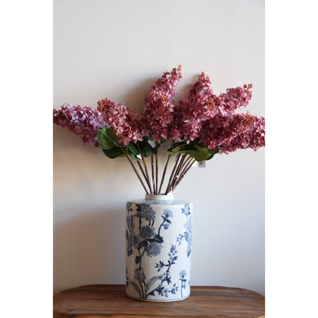 Cone Hydrangea Sunset