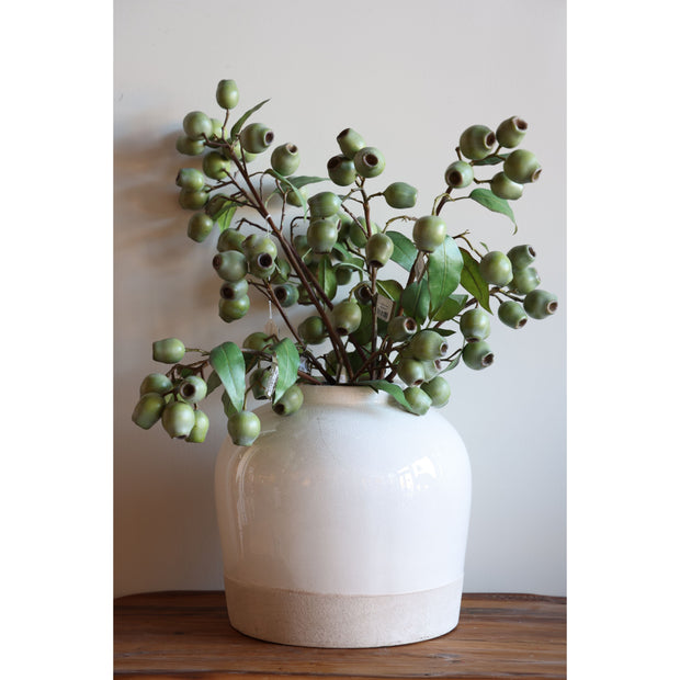 Eucalyptus Stem 26″