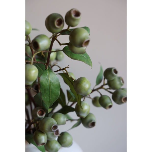 Eucalyptus Stem 26″