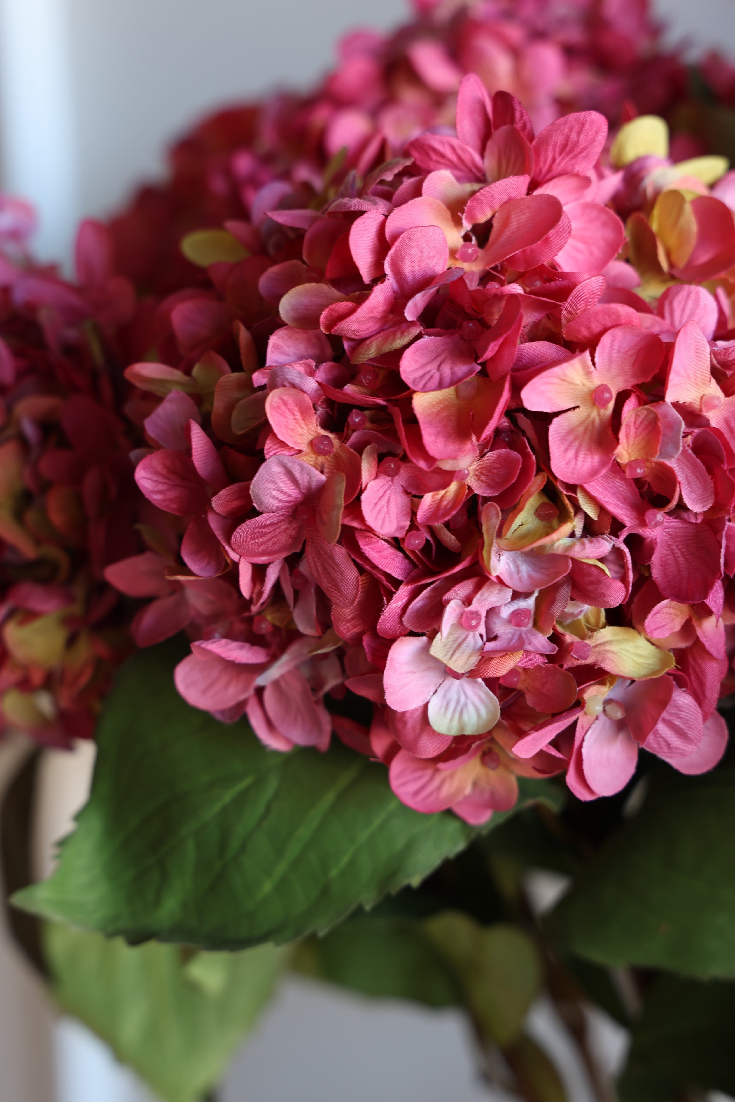 Hydrangea Stem - Pink- 31