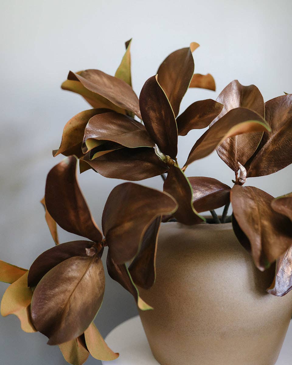 Fall Magnolia Leaf Branch 25