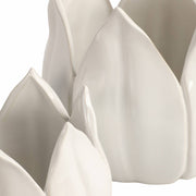 White Ceramic Tulip Petal Planters