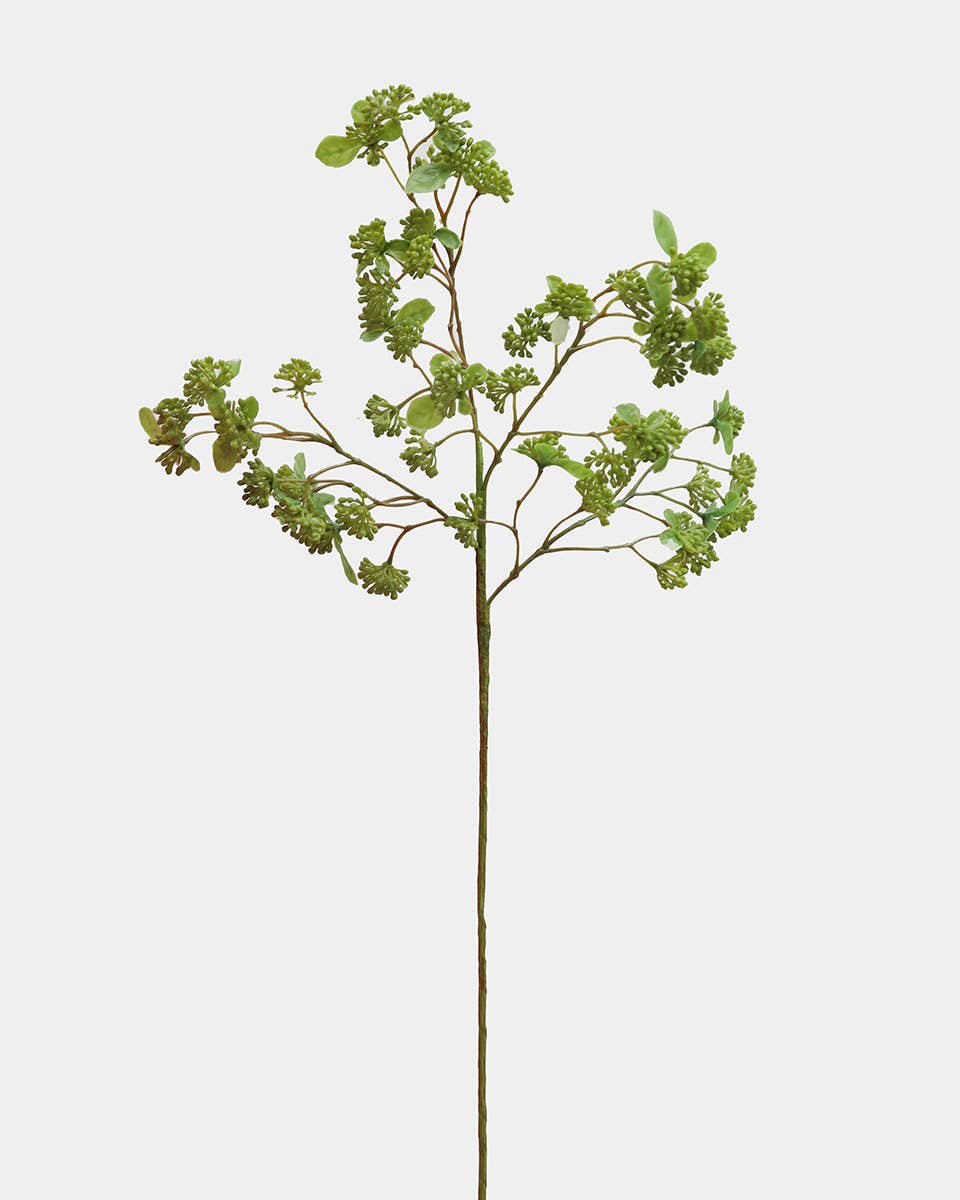 Green Wild Sedum Cluster 22.5