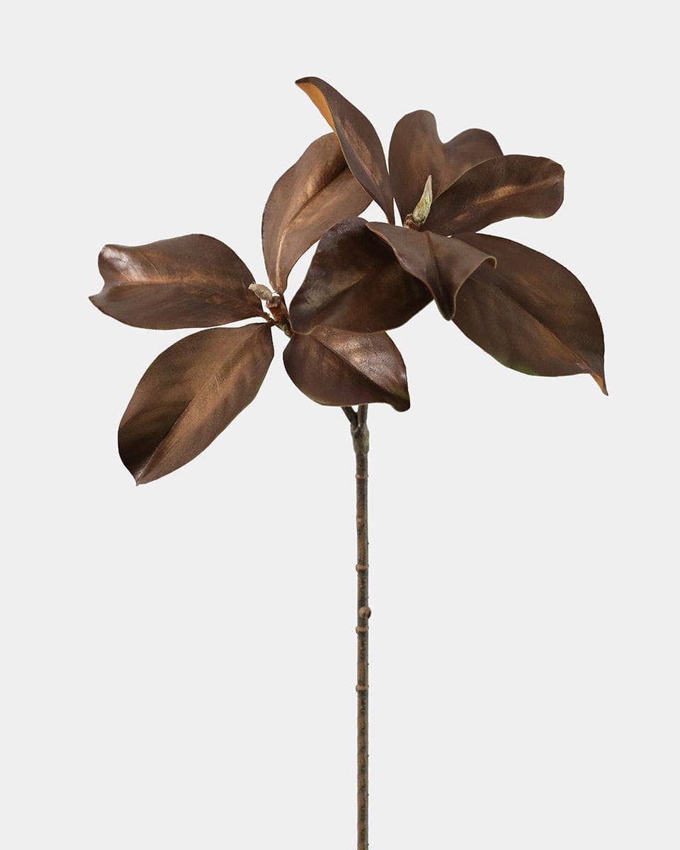 Fall Magnolia Leaf Branch 25