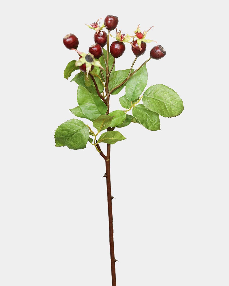 Artificial Rose Hip Berries 18