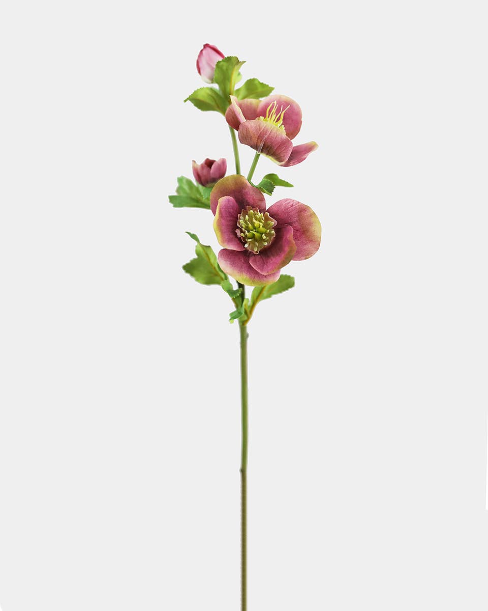 Real Touch Mauve Pink Hellebore 18