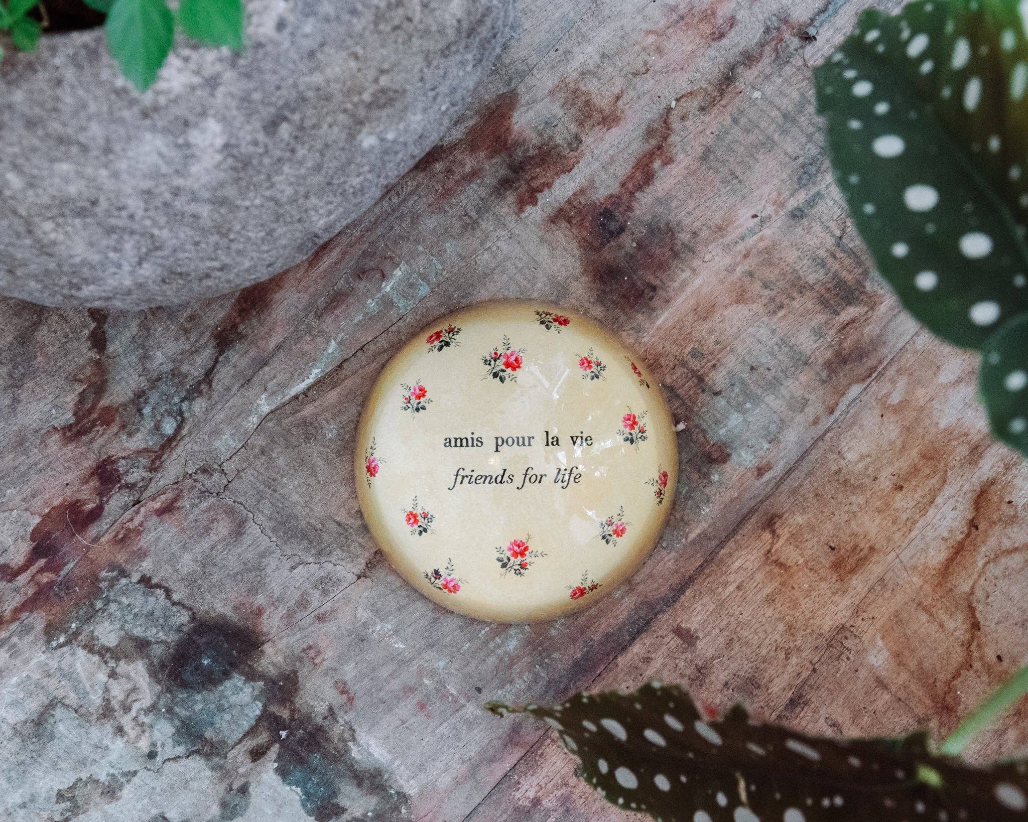 Paperweight - Amis Pour La Vie