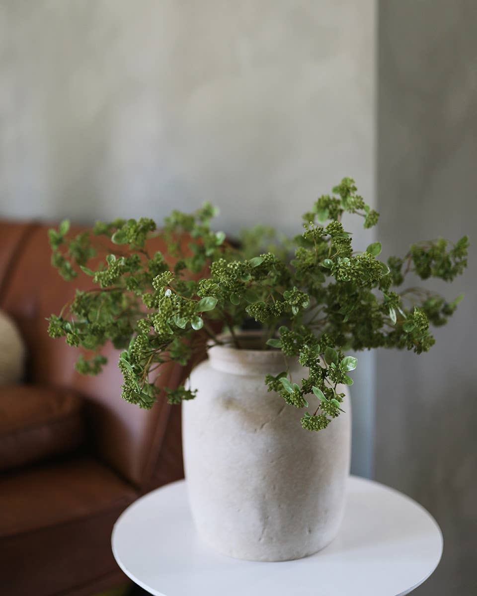 Green Wild Sedum Cluster 22.5