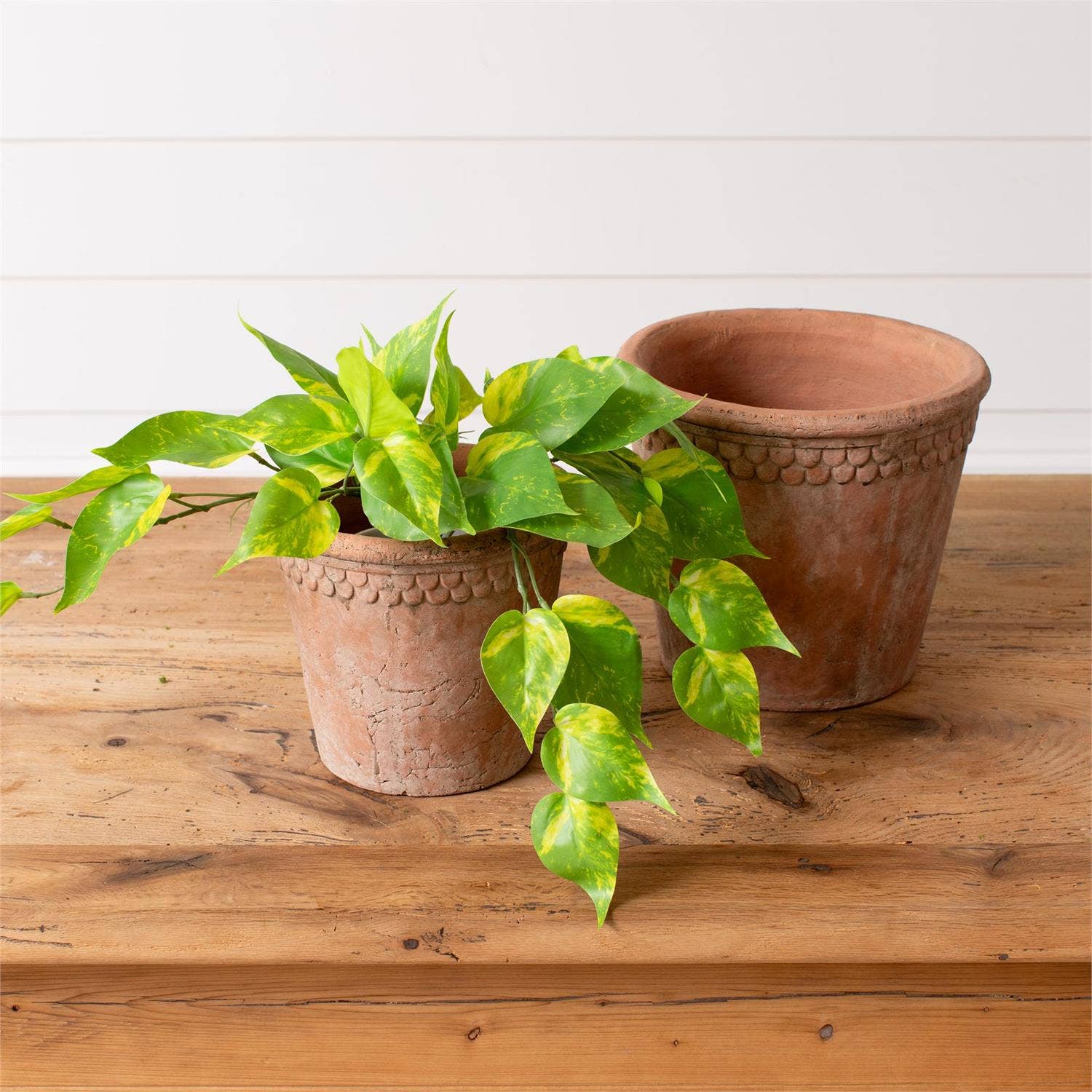 French Terracotta Planter