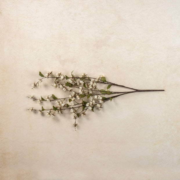 36" CREAM WILD LANTERN BUSH